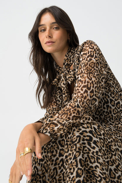 BLUSA DALMATA