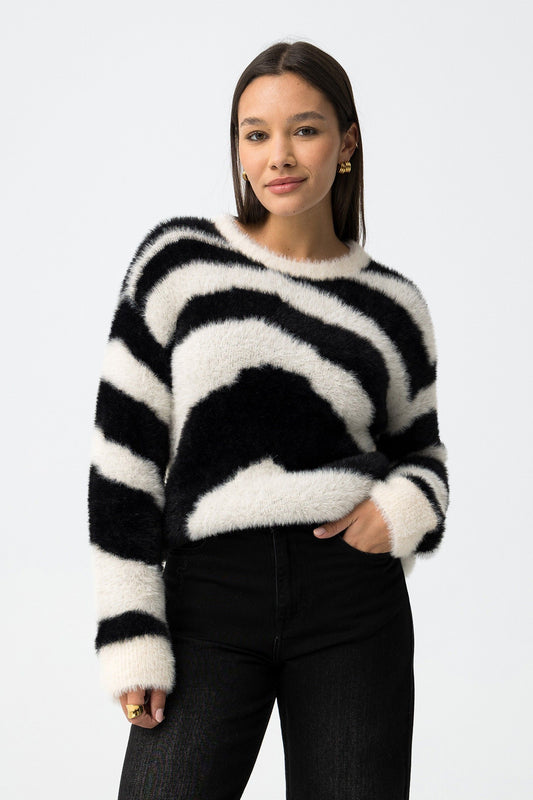 JERSEY ZEBRA