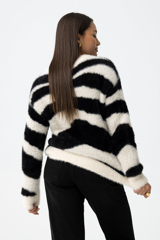 JERSEY ZEBRA
